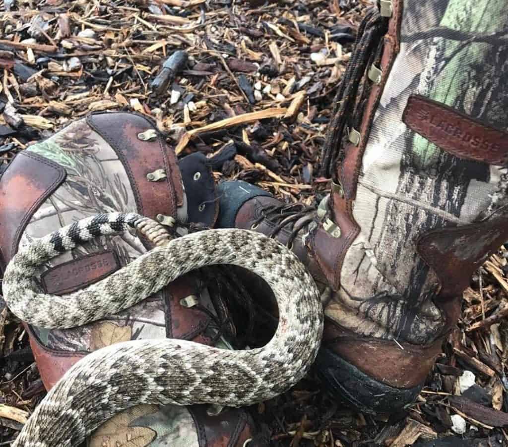 LaCrosse Venom Scent APG HD Snake Boot Review