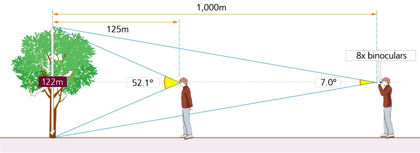 Field of View on Hunting Binoculars Explained