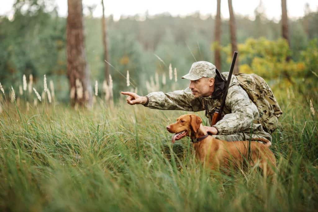 How to Train a Dog to Hunt