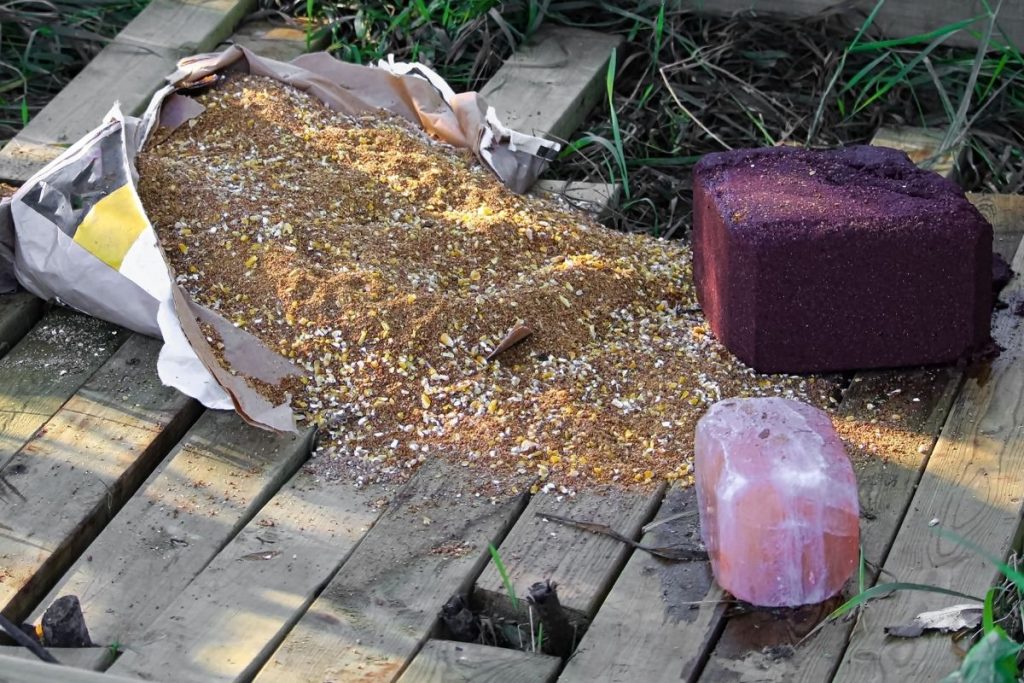 best deer attractant
