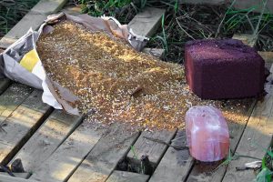 best deer attractant